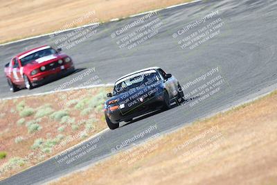 media/May-06-2023-Lucky Dog Racing (Sat) [[8f2256f436]]/Turn 2 10a/